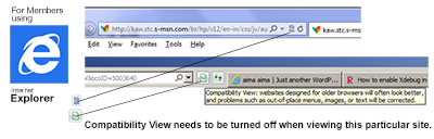 Internet Explorer Compatibility View